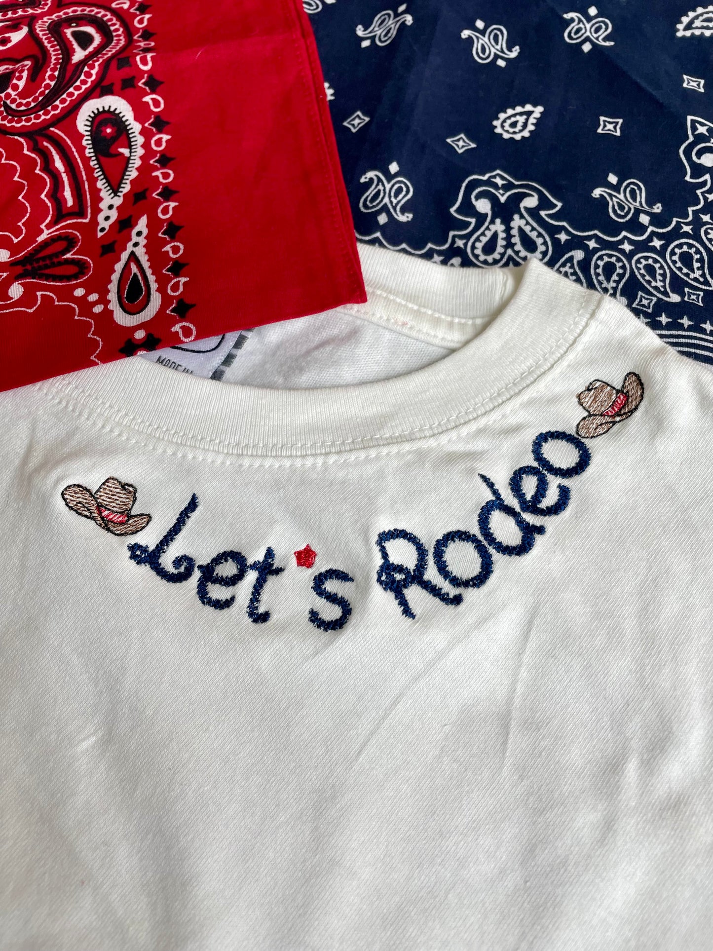 Adult Let's Rodeo Stadium Shirt